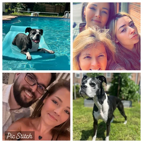 Original four-photo collage of family members and a black-and-white dog
